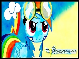 Wonderbolts Academy, My Little Pony, Rainbow Dash