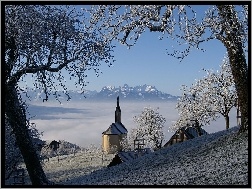 Austria, Kościółek, Zima, Drzewa