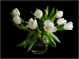 Wazon, Białe, Tulipany