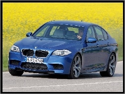 BMW F10, Seria 5