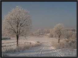 Droga, Śnieg, Zima, Polna