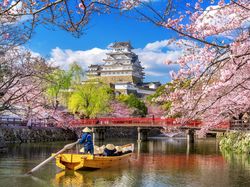 Drzewa, Zamek Białej Czapli, Rzeka, Łódka, Miejscowość Himeji, Japonia, Wiosna, Zamek Himeji, Kwitnące