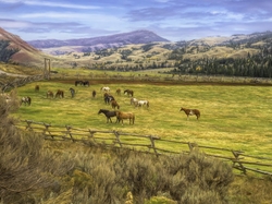 Hrabstwo Teton, Pastwisko, Red Hills Ranch, Stan Wyoming, Stany Zjednoczone, Konie, Farma, Góry