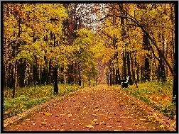 Jesień, Liście, Drzewa, Park, Ławka