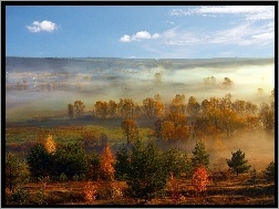 Jesień, Mgła, Drzewa, Pola, Panorama