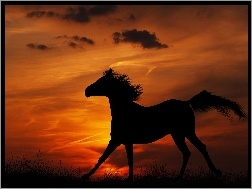 Słońca, Koń, Zachód