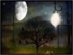 Księżyc, Drzewo, Brama, Obraz, Liście