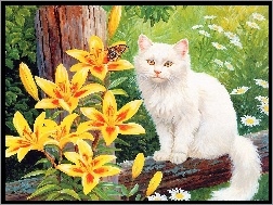Lilie, Kot, Biały, Żółte