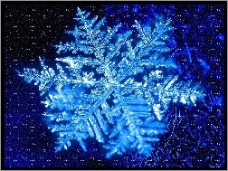 Śniegu, Niebieski, Płatek