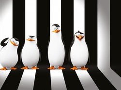 Postacie, Pingwiny z Madagaskaru, The Penguins of Madagascar
