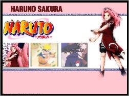 sztylet, sakura, haruna, Naruto, kobieta