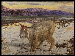 William Holman, Rzeka, Kozioł, Góry