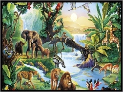 Safari, Wodospad, Zwierzęta