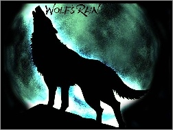 wilk, wyje, noc, Wolfs Rain