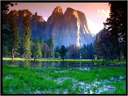 Yosemite, Góry, Woda, Łąka, Drzewa