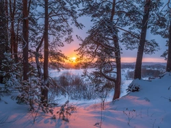 Drzewa, Zima, Śnieg, Zachód słońca, Słońce