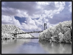 Zima, Drzewa, Rzeka, Most