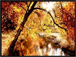 Rzeka, Złota, Jesień