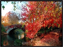 Jesień, Alejka, Most, Rzeka, Liście