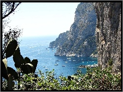Kaktusy, Capri, Wyspa, Morze