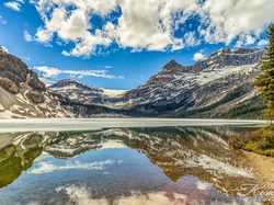 Kanada, Odbicie, Drzewa, Góry, Jezioro, Bow Lake, Park Narodowy Banff