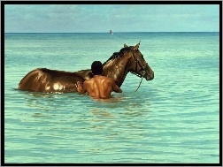 Morze, Koń, Mężczyzna
