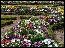 Kwiatowe, Alejki, Park, Rabaty