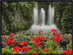 Las, Kwiaty, Czerwone, Wodospad