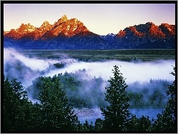 Narodowy, Mgła, Las, Grand Teton, Park, Góry