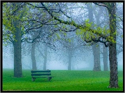 Mgła, Drzewa, Park, Ławka