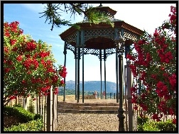 Altana, Ogród, Kwiaty