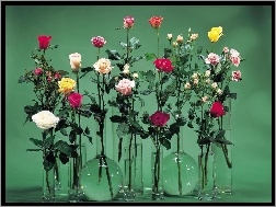 Wazoniki, Róże, Szklane