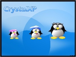 wąsy, rodzina, pingwin, Linux, czapka