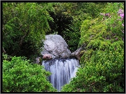 Las, Wodospad, Skały