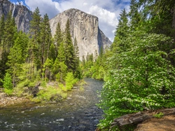 Drzewa, Krzewy, Kalifornia, Góra, El Capitan, Park Narodowy Yosemite, Stany Zjednoczone, Merced River, Rzeka